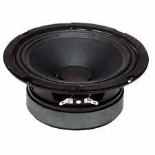 Haut-parleur BLG rsw1271